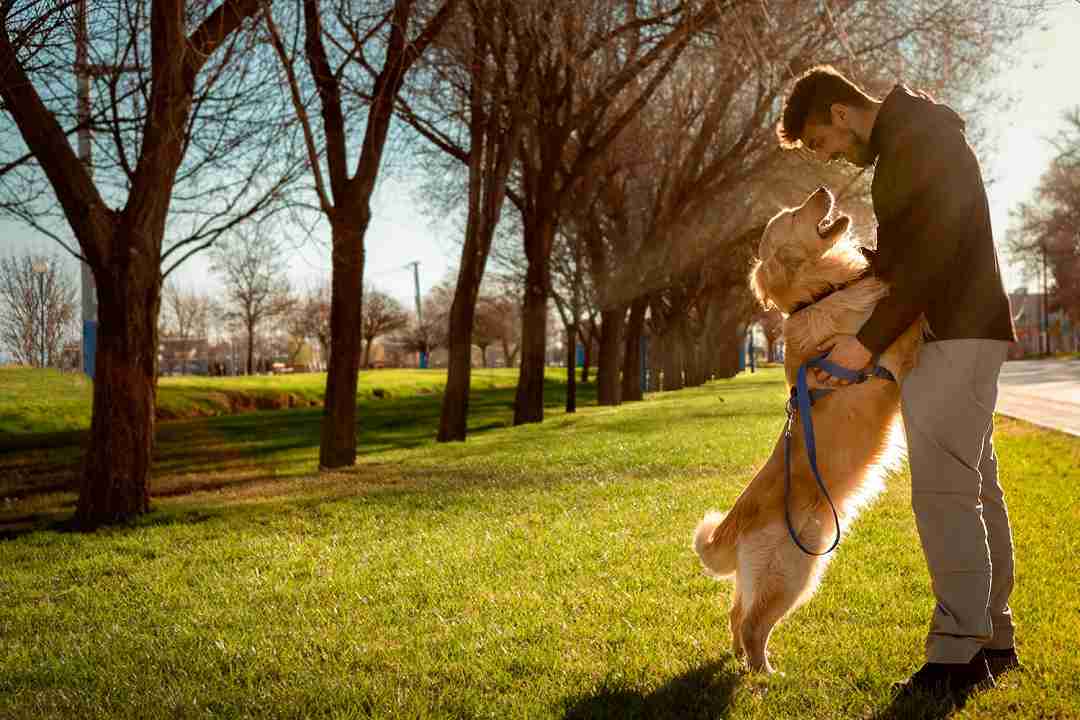 cane e padrone