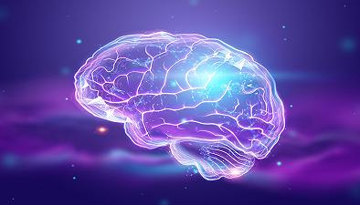 Cervello: capacità predittive diverse per i due lati