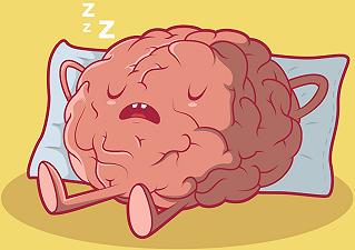 Cervello: individuato enzima regolatore del sonno