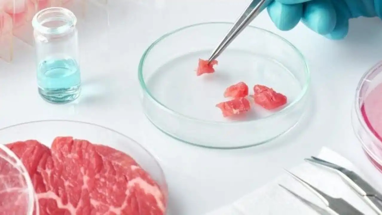 Cibo artificiale: il piano per opporsi e promuovere il made in Italy