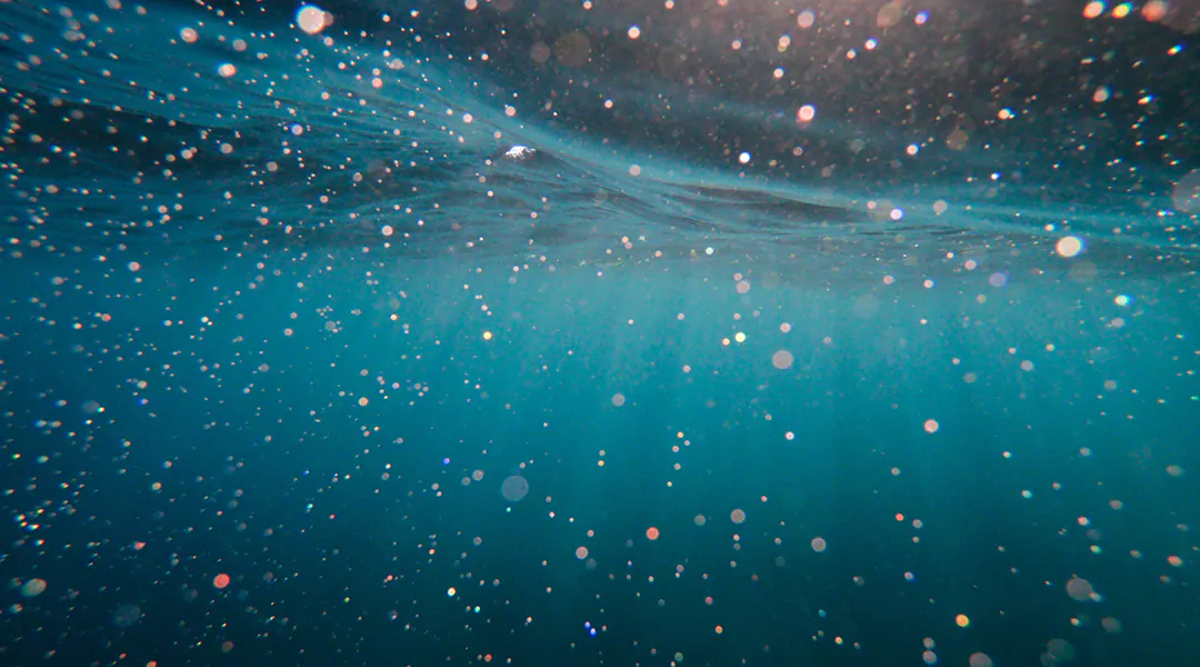 Microfibre, la nuova casa galleggiante dei batteri nel Mar Mediterraneo
