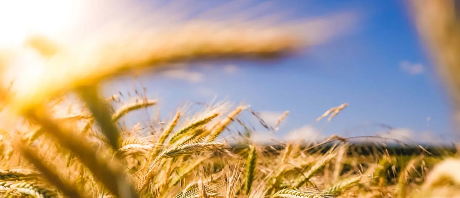 Export agroalimentare: record nel 2022