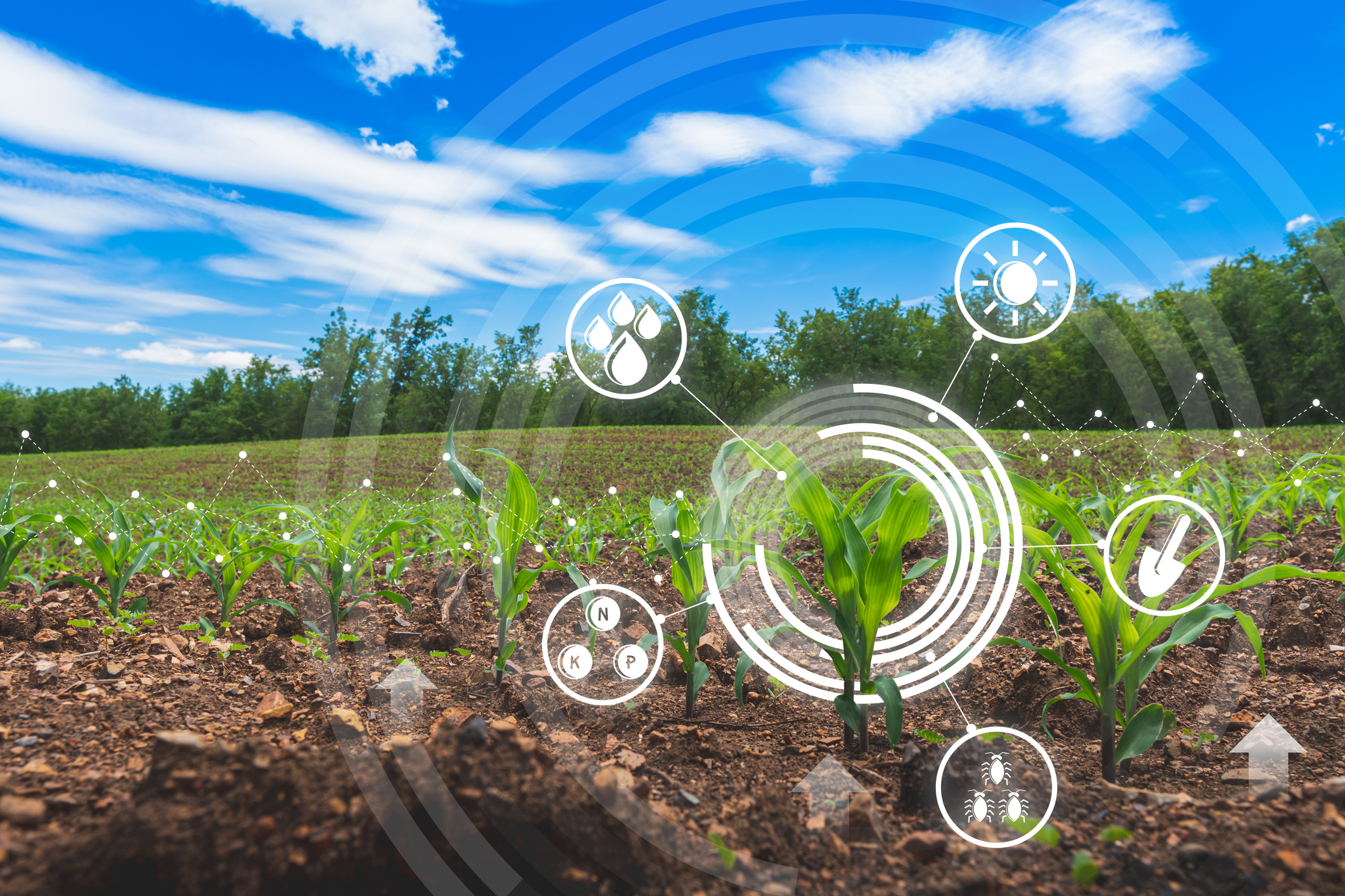 Green e innovazione di pari passo verso il futuro