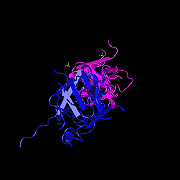 L’evoluzione della proteina immunitaria