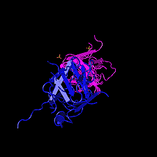 L’evoluzione della proteina immunitaria