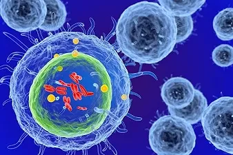 Scoperta l’origine delle malattie autoimmuni grazie a un nuovo approccio