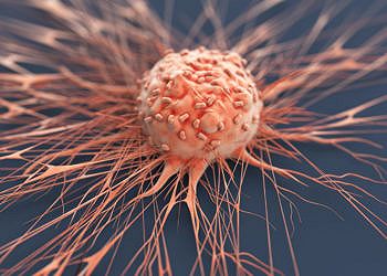 Scoperto nuovo indizio su come e perché le cellule tumorali si diffondono