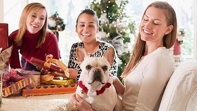 Cane: il regalo di Natale ideale per il tuo amico a quattro zampe