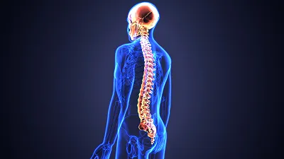 L’iniezione che rigenera i nervi del midollo spinale