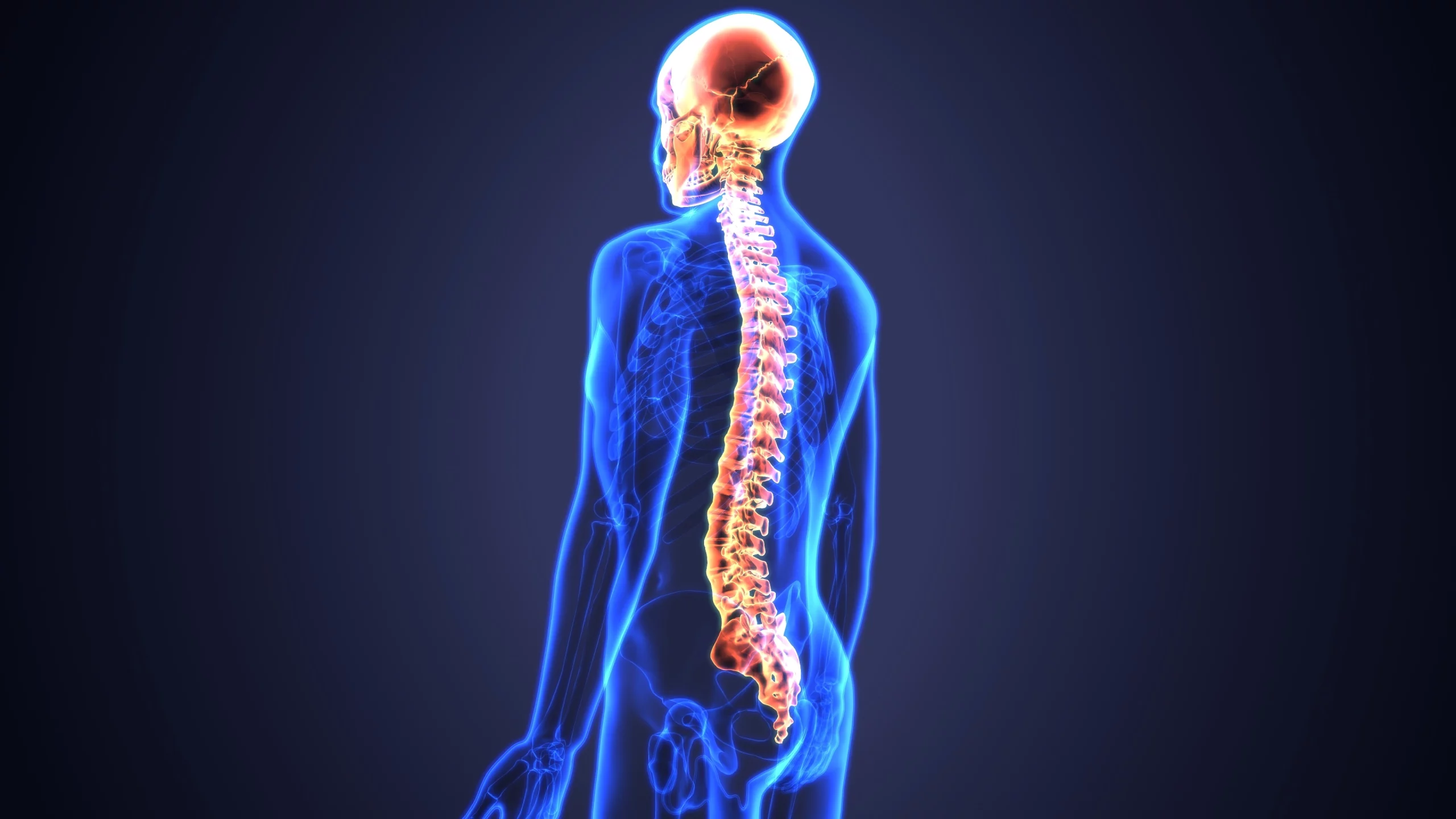 L’iniezione che rigenera i nervi del midollo spinale