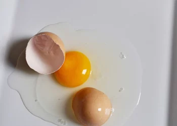 Albume d'uovo: rimuove quasi il 100% delle microplastiche dall'acqua