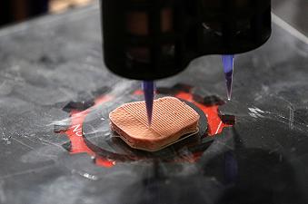 Carne coltivata: nuovo inchiostro per stampa 3D la rende più economica