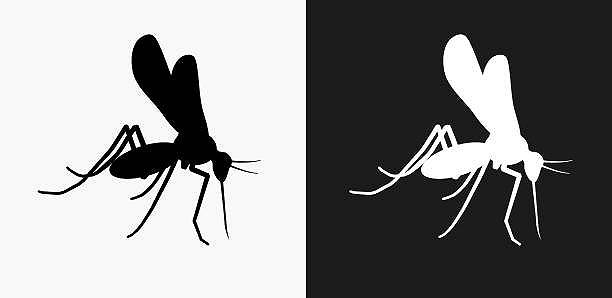 Le zanzare hanno una loro utilità, soprattutto per gli esseri umani