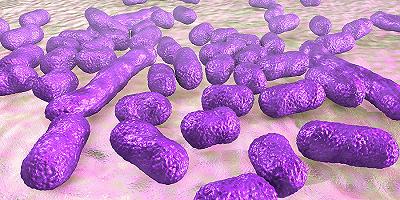 Alcune infezioni di pazienti ricoverati possono svilupparsi dai loro stessi batteri