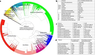 Gli scienziati creano una simulazione al computer basata su microbi digitali