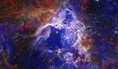 Nebulosa Tarantola: fotografata dal James Webb e da Chandra