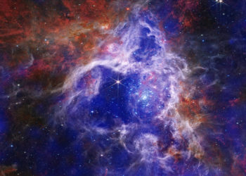 Nebulosa Tarantola: fotografata dal James Webb e da Chandra