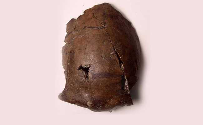 Cranio di 6.000 anni fa: apparterrebbe alla prima vittima di tsunami conosciuta al mondo