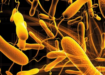 Come comunicano i batteri?