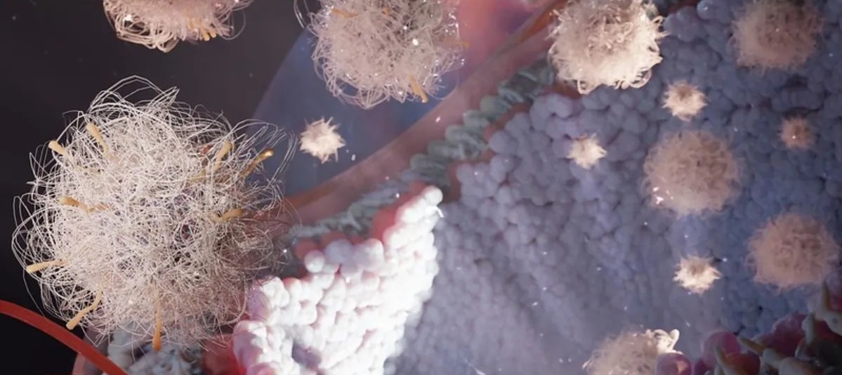 Cecità genetica: scoperto trattamento innovativo