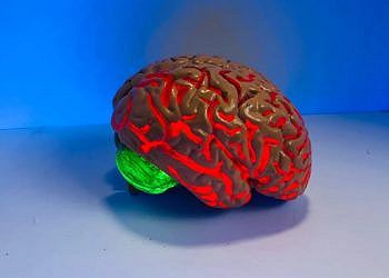 Depressione: diagnosi con una scansione al cervello