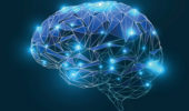 cervello e memoria motoria