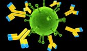La gestione della memoria immunologica per sviluppare vaccini contro il cancro