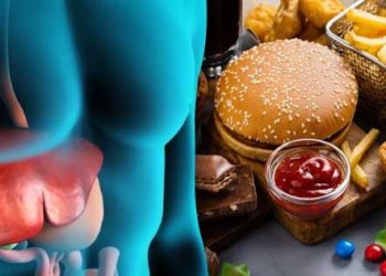 Il consumo di fast food correlato alle malattie del fegato