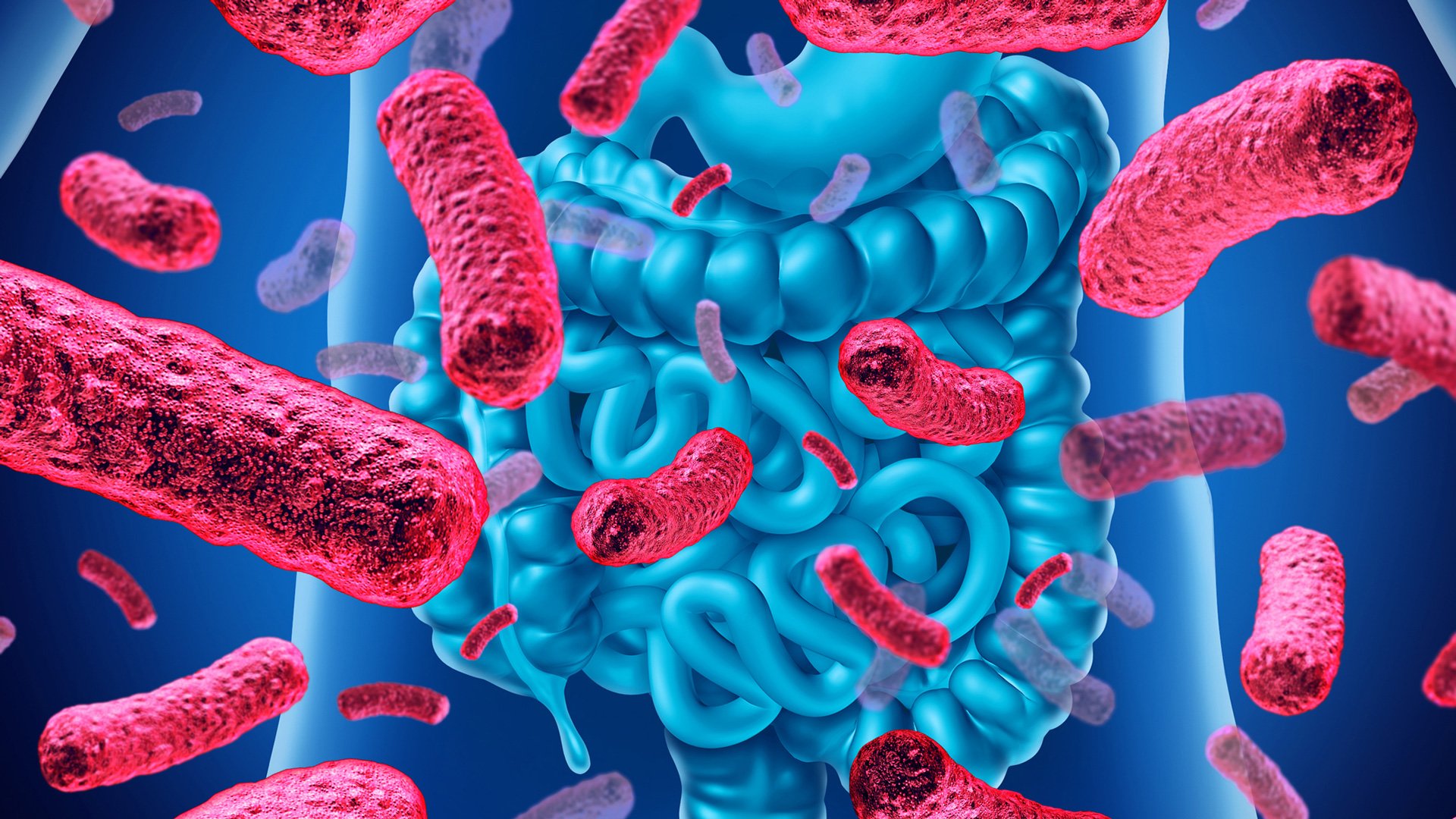 I batteri intestinali e il loro ruolo nel diabete