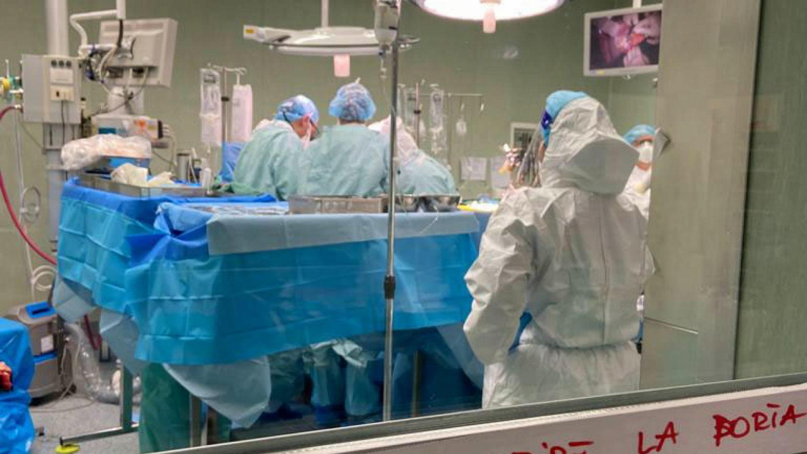 Trapianti: a Torino 24 interventi in 100 ore