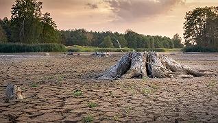 MedAgriFood Resilience: preservare l’agricoltura tradizionale