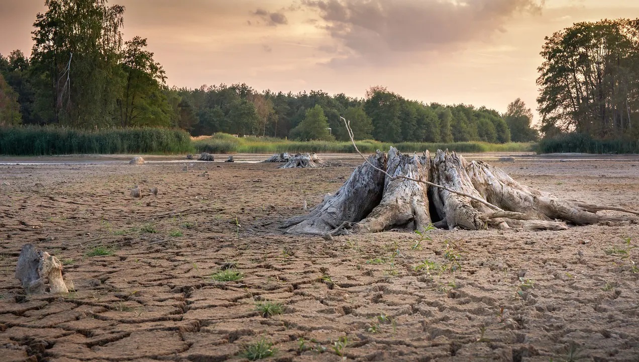 MedAgriFood Resilience: preservare l’agricoltura tradizionale