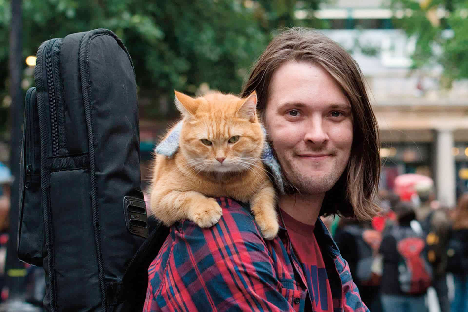 La storia di James Bowen e del gatto Bob