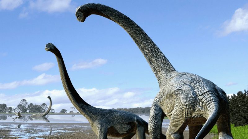 Trovate 256 uova di dinosauro