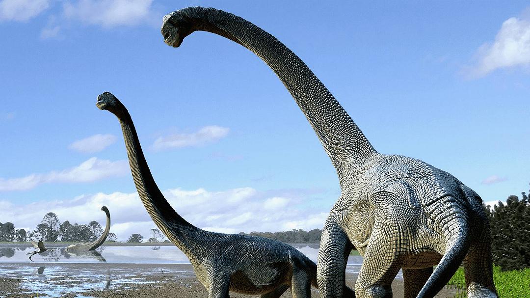 Trovate 256 uova di dinosauro