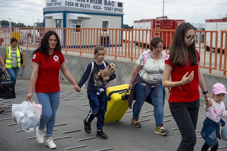 Save The Dogs Onlus: l’impatto del conflitto in Ucraina sugli animali