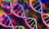 DNA 70 anni dalla scoperta