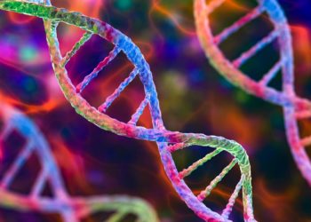 DNA: 70 anni dalla scoperta della sua struttura
