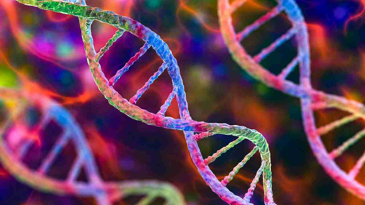 DNA 70 anni dalla scoperta