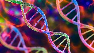 DNA: 70 anni dalla scoperta della sua struttura