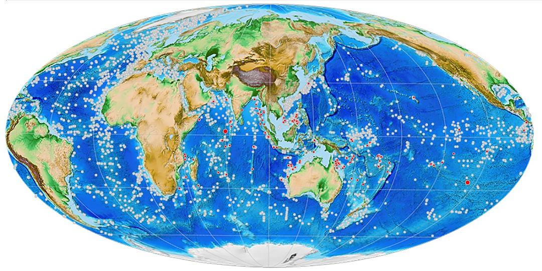 Il cambiamento climatico potrebbe causare un esodo di massa del plancton