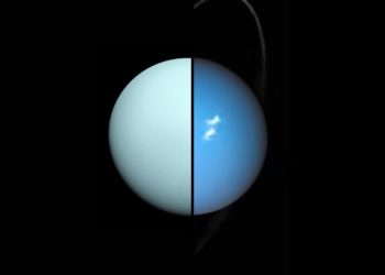 Urano e Nettuno