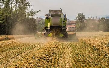 Agricoltura italiana: i giovani manager portano innovazione nei campi
