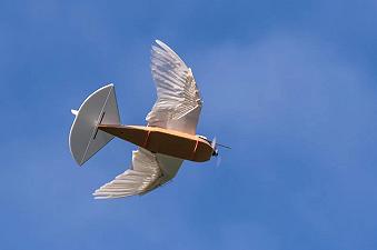 Droni uccello: quando la scienza supera la fantasia