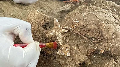 Gioielli di quarzo trovati in un sito di sepoltura messicano di 1.000 anni fa