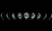 fasi della Terra dall’orbita lunare