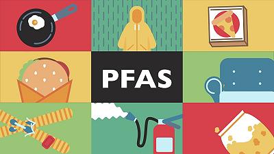 Cosa sono gli PFAS? Cosa provocano nell’uomo le “sostanze chimiche per sempre”?