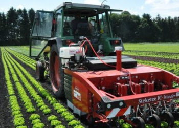Pesticidi nelle colture: i robot ne riducono la concentrazione