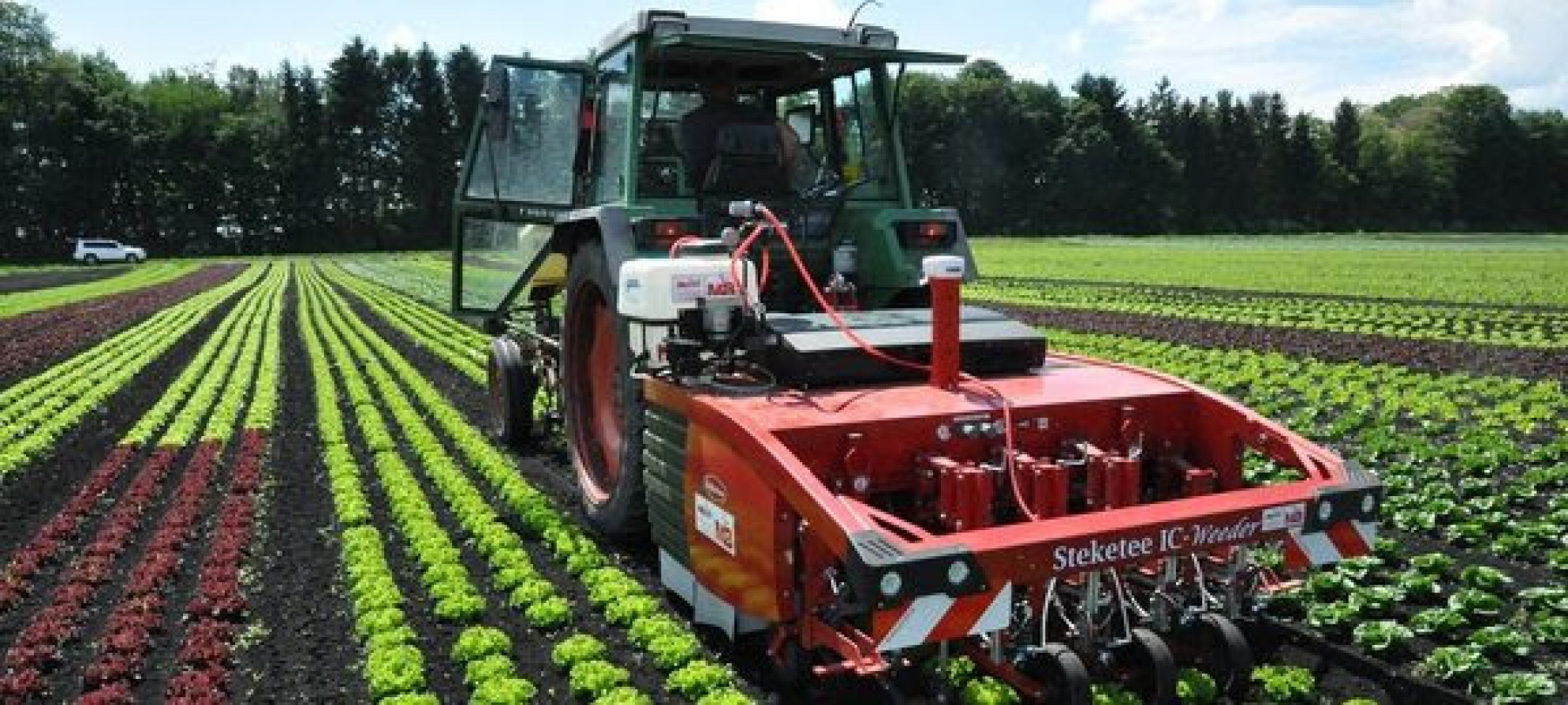 robot contro pesticidi