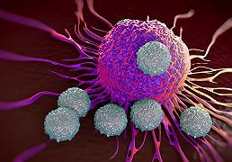 Come fanno i Linfociti T a smascherare le cellule cancerogene?